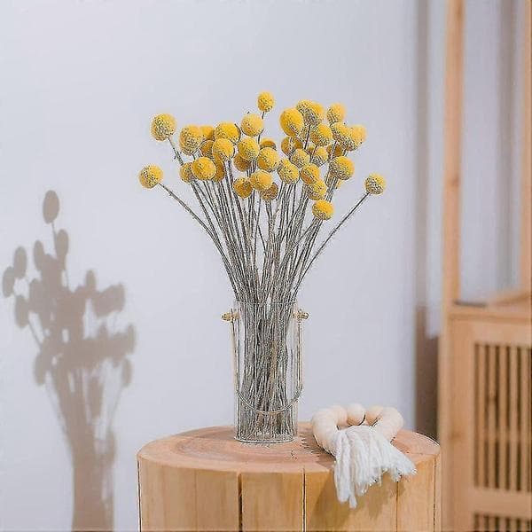 40 st Torkade Craspedia Blommor Torkade Billy Button Bollar Blommor--