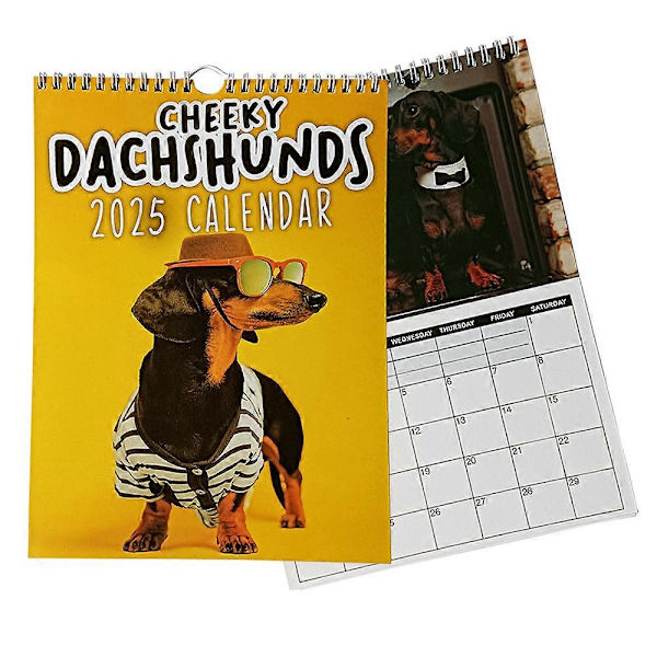 2025 Cheeky Dachshunds Kalender Sjove Dyre Hundefotografier Væghængt Planlægger 12 Måneders Kalender Hjem Kontor Dekoration Gave