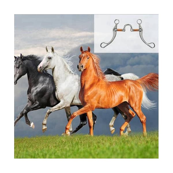 Rustfritt stål Snaffle Bit Heste bitt Western Snaffle Bits for munn trening Bitt med kobberport Silver