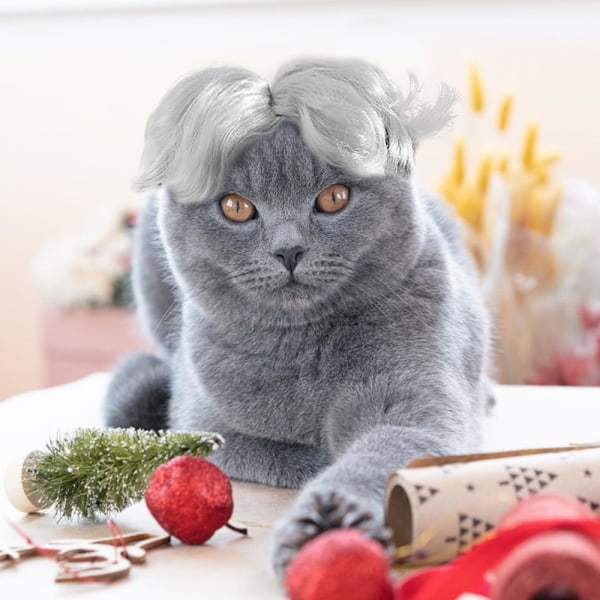 Kat Cosplay Paryk, Sølv Kæledyr Parykker Justerbar Sjov Cosplay Hovedbeklædning til Små Hunde Katte Jul Ferie Fester