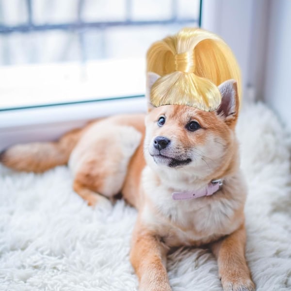 Blond hästsvans peruk för husdjur, med justerbara elastiska band Kreativa peruker för husdjur Hund katt cosplay peruker Husdjurskläder Husdjurshuvudbonader Kläder Leksak #1