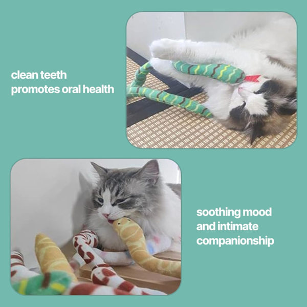 Katt Catnip Ormleksaker för Inomhuskatter, Ormleksak 2-pack för Kattungelekar och Tandrengöring, Interaktiv Färgglad Simuleringsleksak Snake