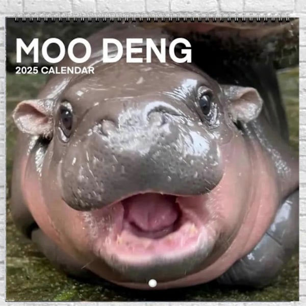 Morsom Moo Deng Flodhest Kalender 2025, Moo Deng Dvergflodhest Hengende Månedlig Veggkalender Rask