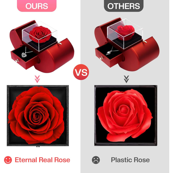 Bevarade riktiga rospresenter för kvinnor, mamma, fru, eviga blommor Rose med I Love You-halsband på 100 språk