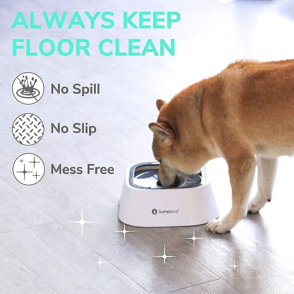 Hundvattenkopp, Hundskål Spillfri Husdjursvattenkopp 35oz, Långsam Vattenmatare