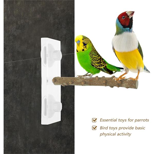 Lintuahvenet, papukaijajalusta Puiset ahvenet imukupilla Budgie-kylpyahven häkkitasotelineen Budgie-lelut tarvikkeet