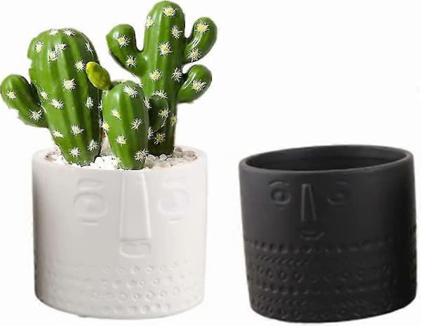 sæt med 2 keramiske urtepotter til sukkulenter - ansigtsdesign - til stue, kontor - hvid + sort