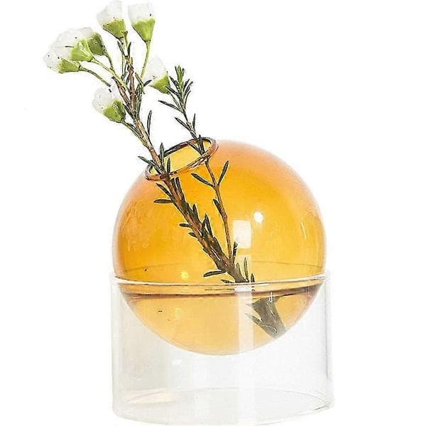 Klar bobleglasvase til hydroponiske planter Moderne minimalistisk indretning 26-27s