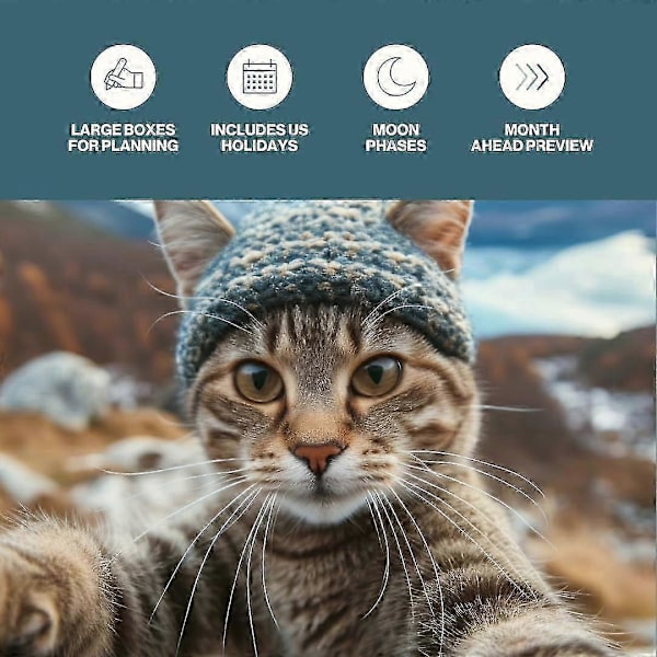 Katt-Selfies Kalender 2025, Katt Väggkalender 2025, Rolig Katt-Selfies Kalender 2025, 12 Månader Hängande Kalender Present till Kattälskare 1Pcs