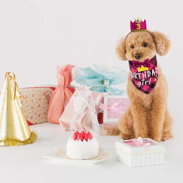 Fødselsdagsfestartikler til hunde, fødselsdagsbåndanasæt til hundepiger med sød hundesløjfe, kronehat med tal til små, mellemstore og store hunde Pink