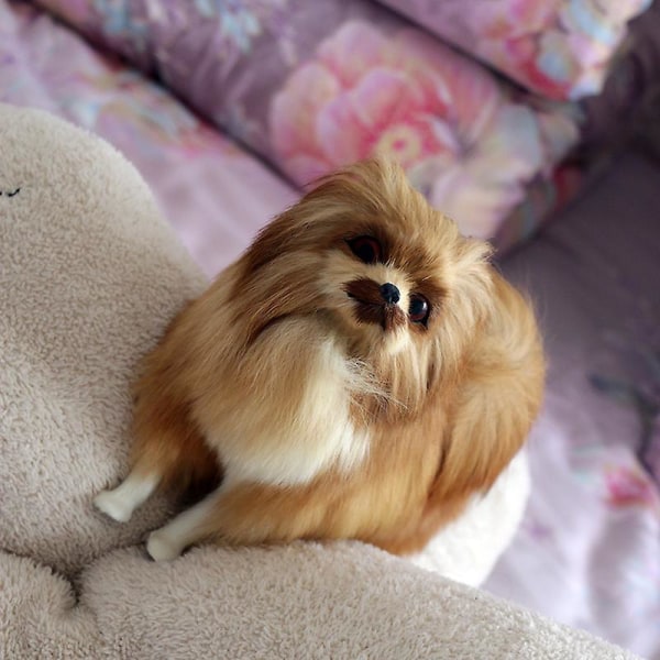 Simulering Pomeranian Plys dekoration Hundedukke Legetøj Håndværk Hjem Dekoration Dyremodel Børnegave