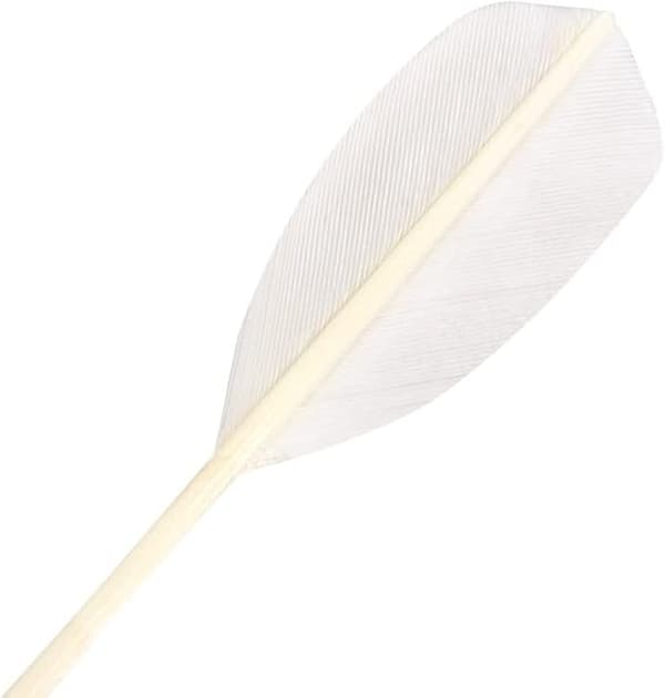 Shuttlecock Birdy 6-pakning