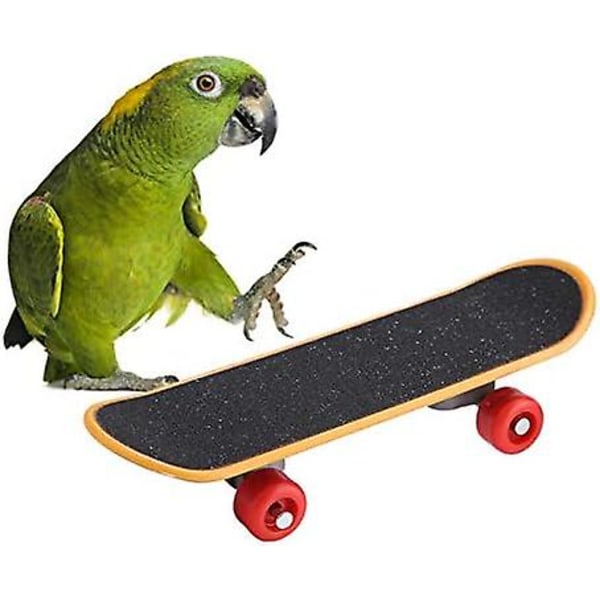 Fuglepapegøje intelligenslegetøj Mini træningsskateboard til undulater, parakit kakadue kærlighedsfugl conure små og mellemstore fugle sjove siddepindelegetøj