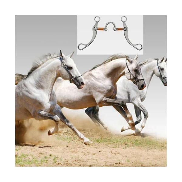 Rustfritt stål Snaffle Bit Heste bitt Western Snaffle Bits for munn trening Bitt med kobberport Silver
