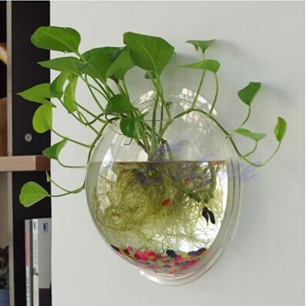 Vægmonteret gennemsigtig akryl vase til fisk, blomster transparent