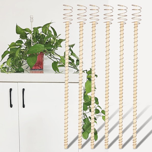 Elektrokultur Plante Støtte, Kobbertråd Plante Støtte Stager Elektrokultur Havearbejde Kobber Spole Antenner Til Vækst af Planter - 6 stk 12pcs