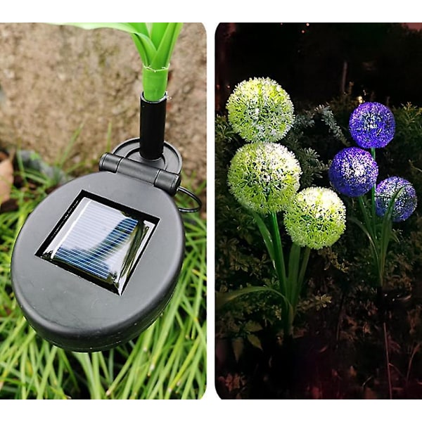 Led Solar Dandelion Pathway Light color1