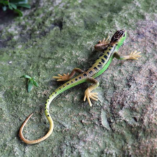 Konstgjord Ödla, Färgfast, Levande Färger, Reptil Ödla Leksak, Festtillbehör [DmS] Green