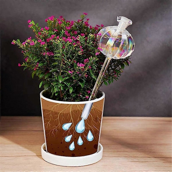 Glas Automatiska Växtbevattningslökar Form Blomväxt Vatten Droppare Krukväxt Enhet Droppbevattning Transparent Color