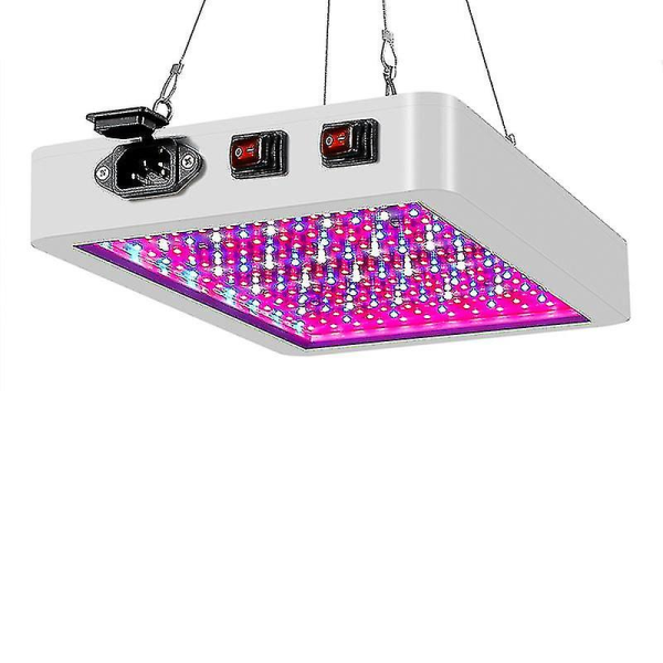 3000w LED-kasvivalo Hydroponinen täyden spektrin sisätilojen kasvihuoneteltta lamppu Hk EU Plug 1000W-216LEDs