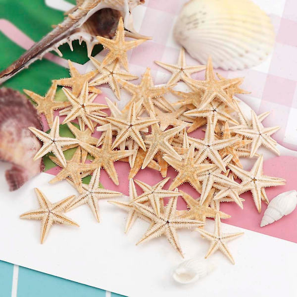 100 stk Naturlige Sjøstjerner Skall Strand Håndverk Naturlige Sjøstjerner DIY Strand Bryllup Dekorasjon HåndverkBY beige yellow