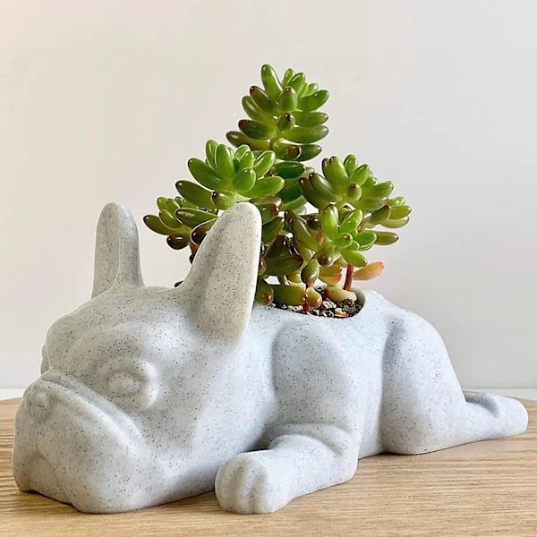 Fransk Bulldog Formet Harpiks Sukkulenter Potte Mini Valp Plante Potte, Søt Bonsai Blomsterpotter For Hjem Hage Kontor Balkong Skrivebord Dekor M