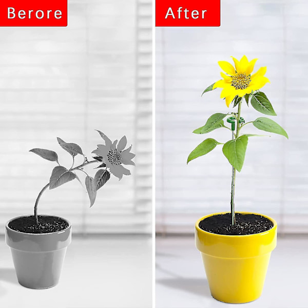 30 st plantstöd, enstaka stjälkplantstöd, trädgårdsplantstöd