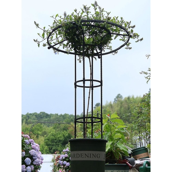 Havegitter til klatreplanter og blomster, Metal Plant Trellis til udendørs brug TAOBY 120cm