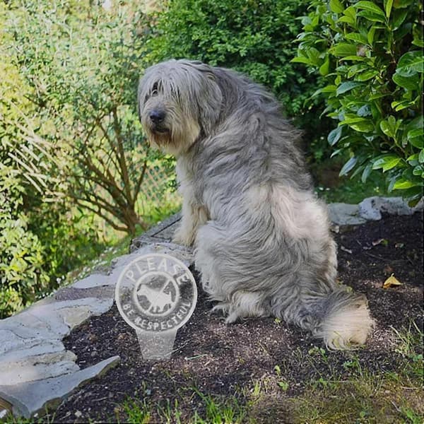 Inga Bajsande Hundar Skyltar För Trädgård - Dubbelsidig Inga Bajsande Hund Skylt | Var Vänlig