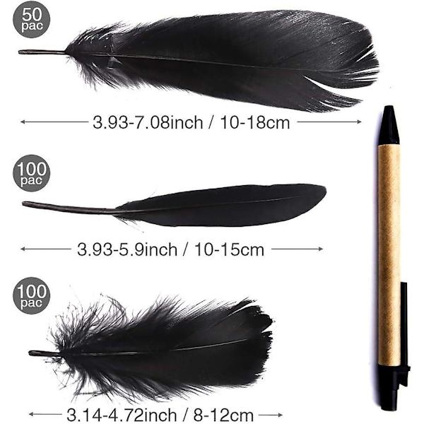 Pveath Fjer til Håndværk, 250 Stk Farvede Fjer Slående Fjer til DIY Drømmfangere Naturlige Håndværk Fjer til Bryllup/Fest Black