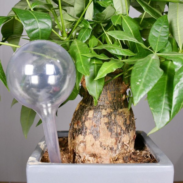 Automatisk Dryp-Vandingssystem Automatisk Vandingspids Planter Blomst Indendørs Husholdningsvandere L Mushroom