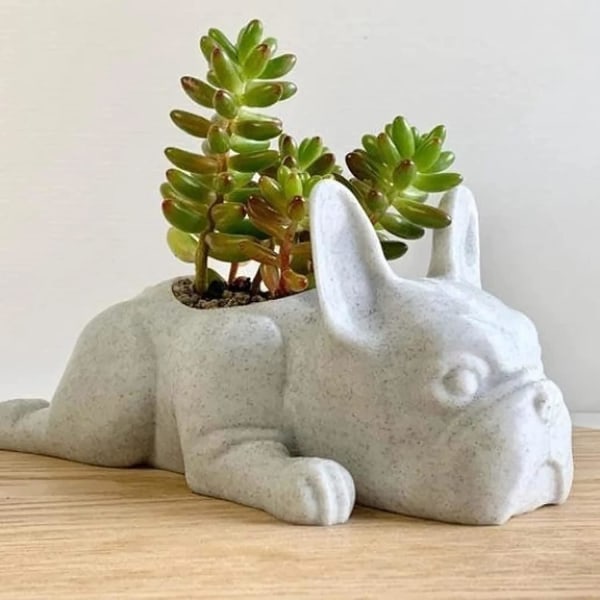 Fransk Bulldog Form Resin Sukkulent Plante Mini Hvalp Plante Plante, Sød Bonsai Blomsterkrukker Til Hjem Have Kontor Balkon Skrivebord Dekoration M