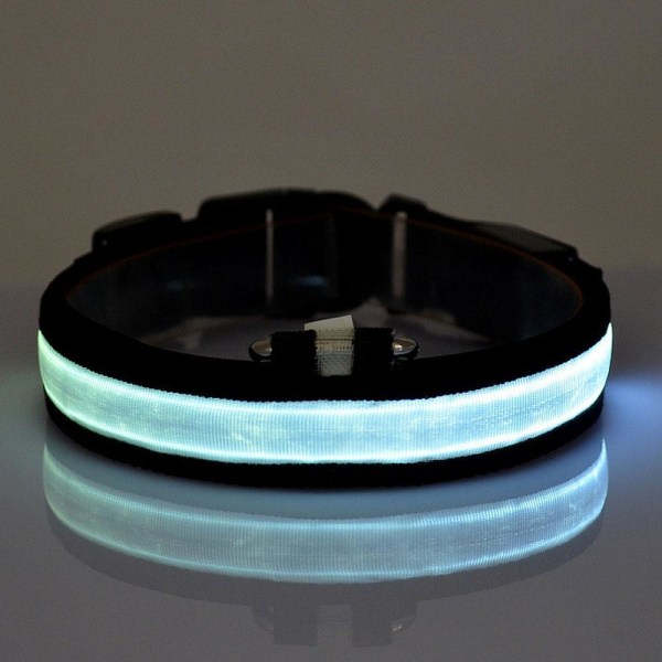 LED Lysande Halsband till hund - Flera färger M Vit m 6cd0 | Vit | m |  Fyndiq