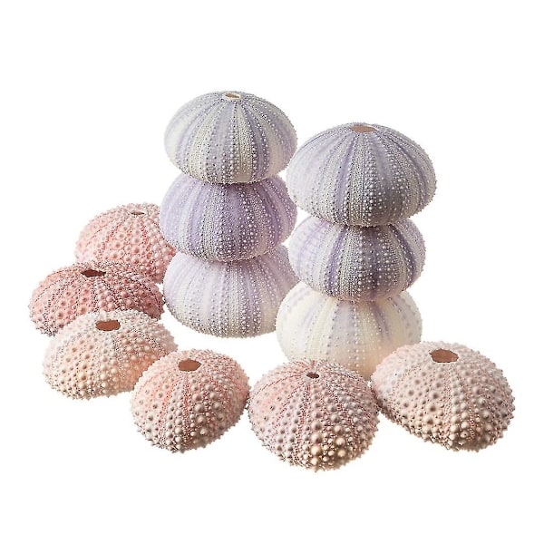 12 Sea Urchins - 6 Pink Sea Urchin Shell & 6 Purple Sea Urchin Shells For Craft And Decor