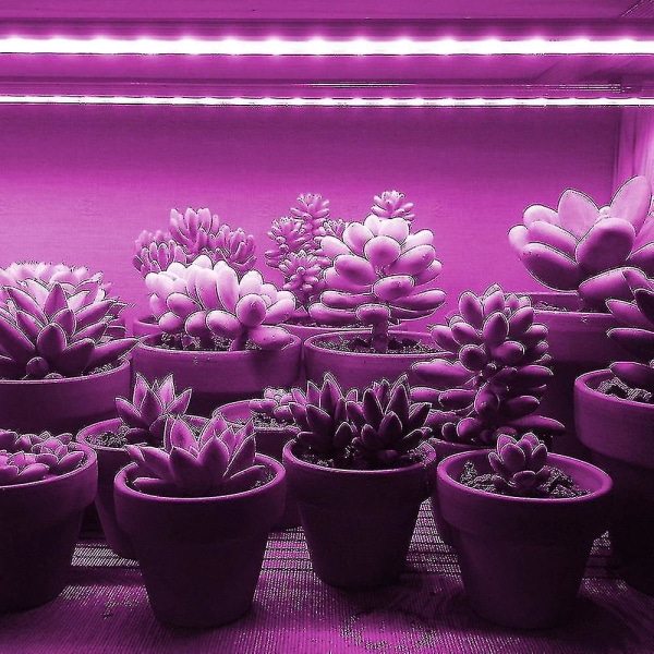 Sammenkædelig LED Grow Light Bars Fuld Spektrum Plantevækstlampe Til Indendørs Veg FlowerBY 4 pcs 30 cm