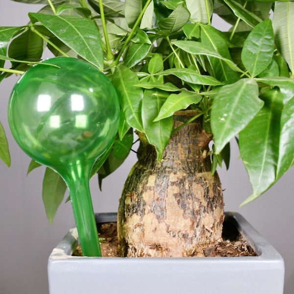 Automatisk Dryp-Vandingssystem Automatisk Vandingspids Planter Blomst Indendørs Husholdningsvandere L Mushroom