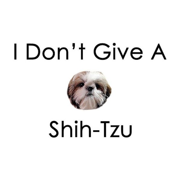 Jag bryr mig inte om en Shih Tzu-mugg - 11 oz keramisk mugg - Nyhet kaffe- och tekopp - ONEW102