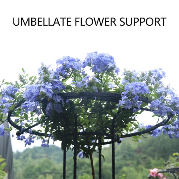Havegitter til klatreplanter og blomster, Metal Plant Trellis til udendørs brug TAOBY 120cm