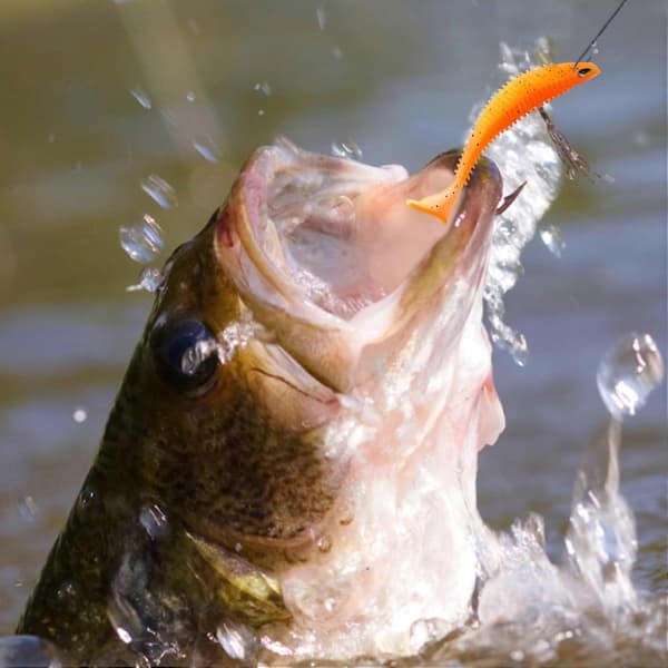 Fiskelokker 8 cm Geddelokker 30 stk. Bløde Paddle Tail Swimbaits i 6 Plast