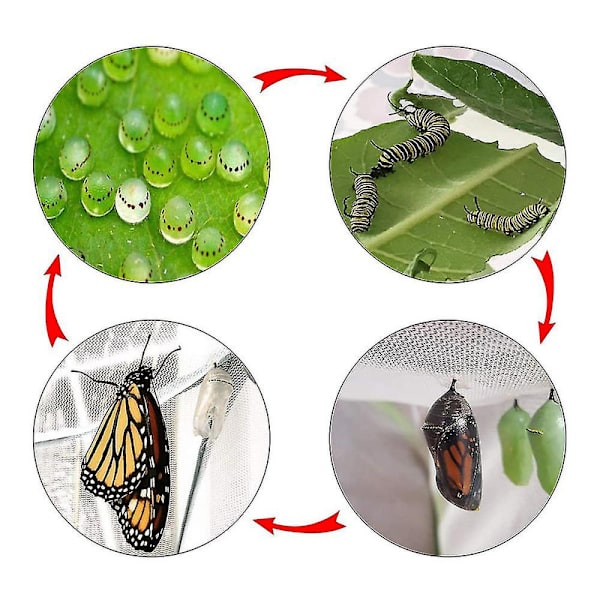 Sommerfuglenet - Sammenklappelig Insekter og Sommerfugl Habitat Net [DmS]