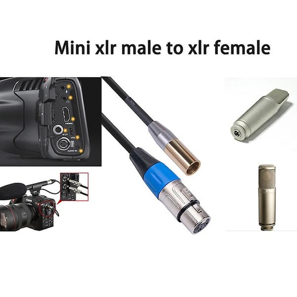 Rexlis 1ft Mini XLR Han til XLR Hun Adapterkabel, 3-polet Mini XLR til XLR Videokabel, Til BMPCC