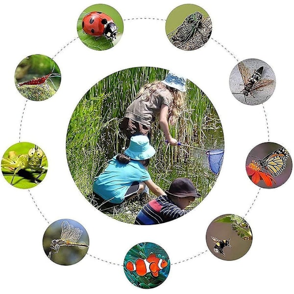 Fjärilsnät för barn, 4-pack Teleskopiska barn nät, Utomhus Idealisk för att fånga insekter [DmS]