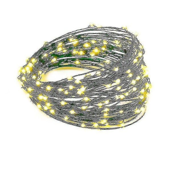 30m 50m 100m LED-ljusslingor Dekoration Sovrum Dekor Nyårs Garland Green Warm White 100M With Controller