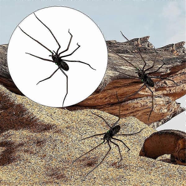 Spindel Kylskåpsmagnet, Realistiska Spindelmagneter, Söta Spindlar Design A