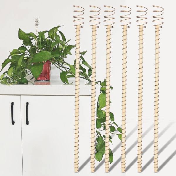 6 stk. Plante Støttepinde, 30cm Elektro-kultur Plantepinde Have Kobber Spole Antenner Til Indendørs & Haveplanter 12pcs