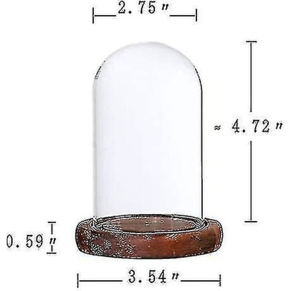 Tenlacum Klar Glasskuppel med Trebase for Hjem Bryllup Fest Midtpunkt Display Stativ DIY Dekor - (brun A) Brown a