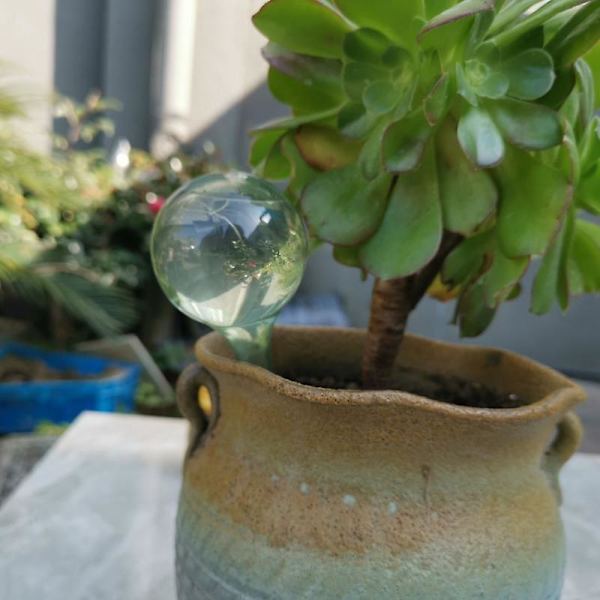 Automatisk Dryp-Vandingssystem Automatisk Vandingspids Planter Blomst Indendørs Husholdningsvandere S Light cyan