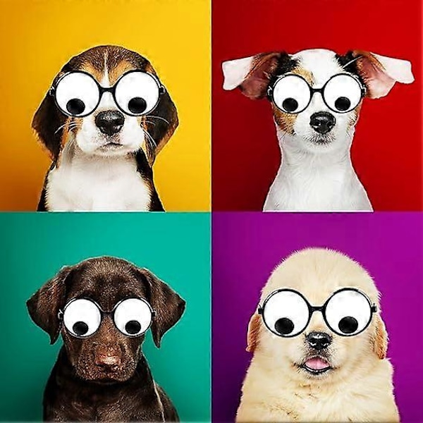 4 st Googly Eyes-glasögon, Roliga Ögon-glasögon, Skakande Kostym-ögon-glas, Nyhetssolglasögon för Halloween-festfavorit