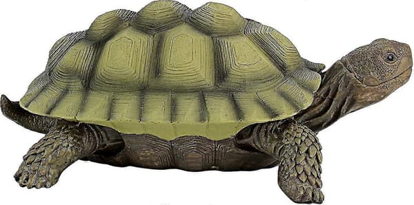 Gilbert Box Turtle Havefigur til Haven, 9 Tommer