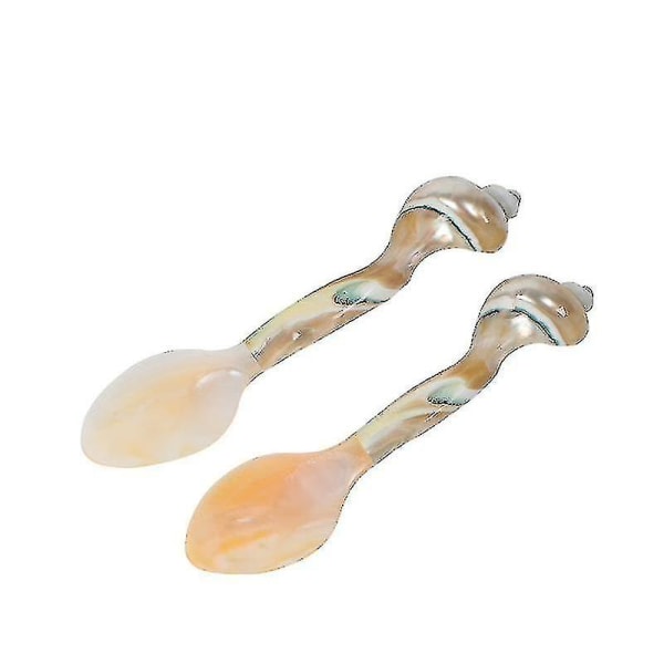 2pcs Natural Conch Shell Spoon Tableware Spoon Seasoning Spoon Dessert Spoon